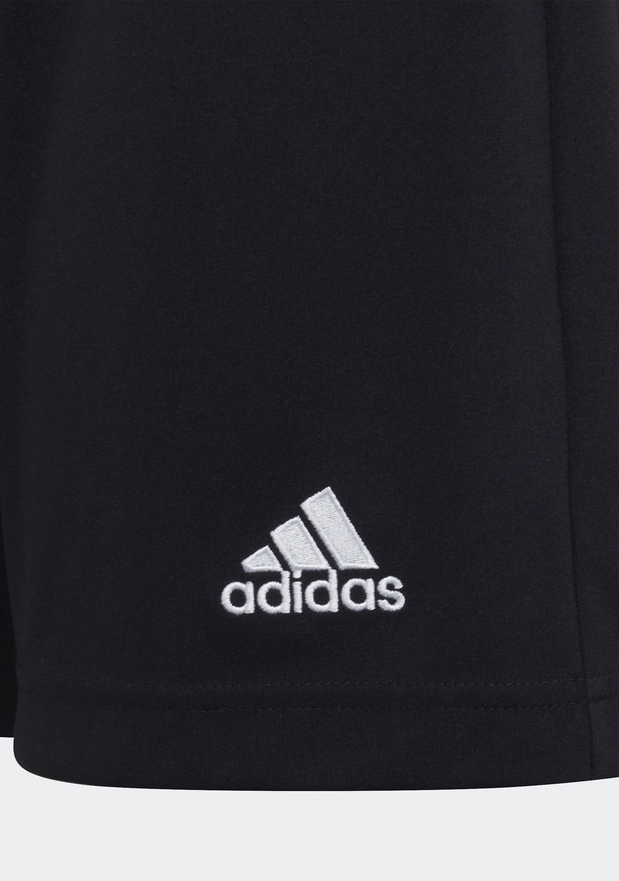 Adidas Junior Entrada 22 Shorts