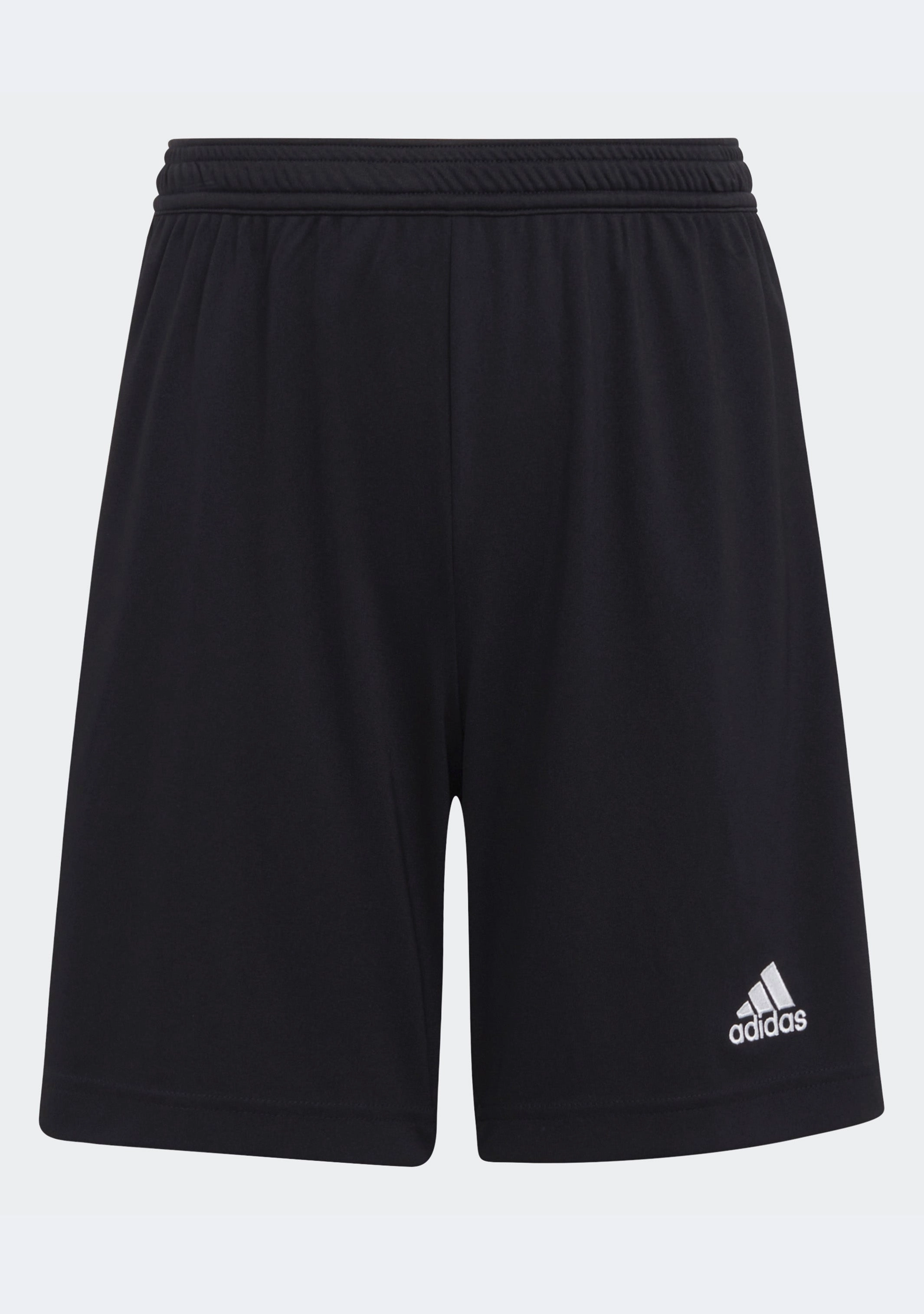 Adidas Junior Entrada 22 Shorts