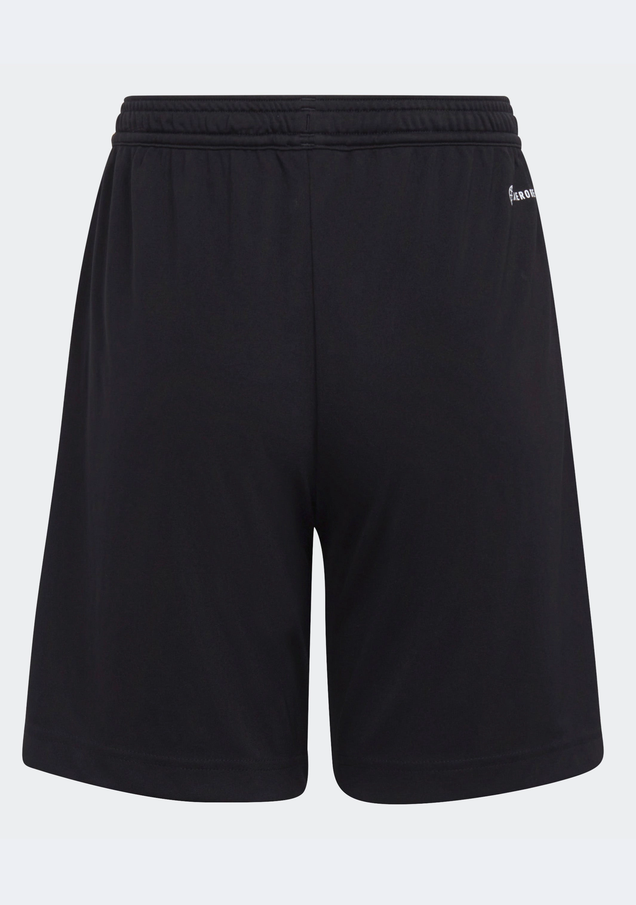 Adidas Junior Entrada 22 Shorts