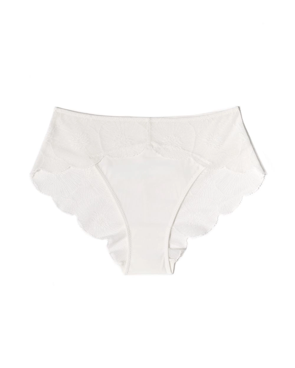 Anemone Brief