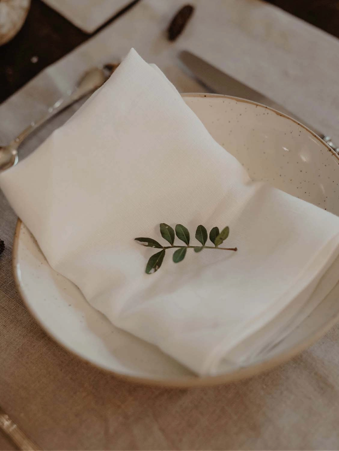 Linen Napkins Set | Multiple Colours