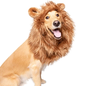 Pet Krewe Lion's Mane Costume