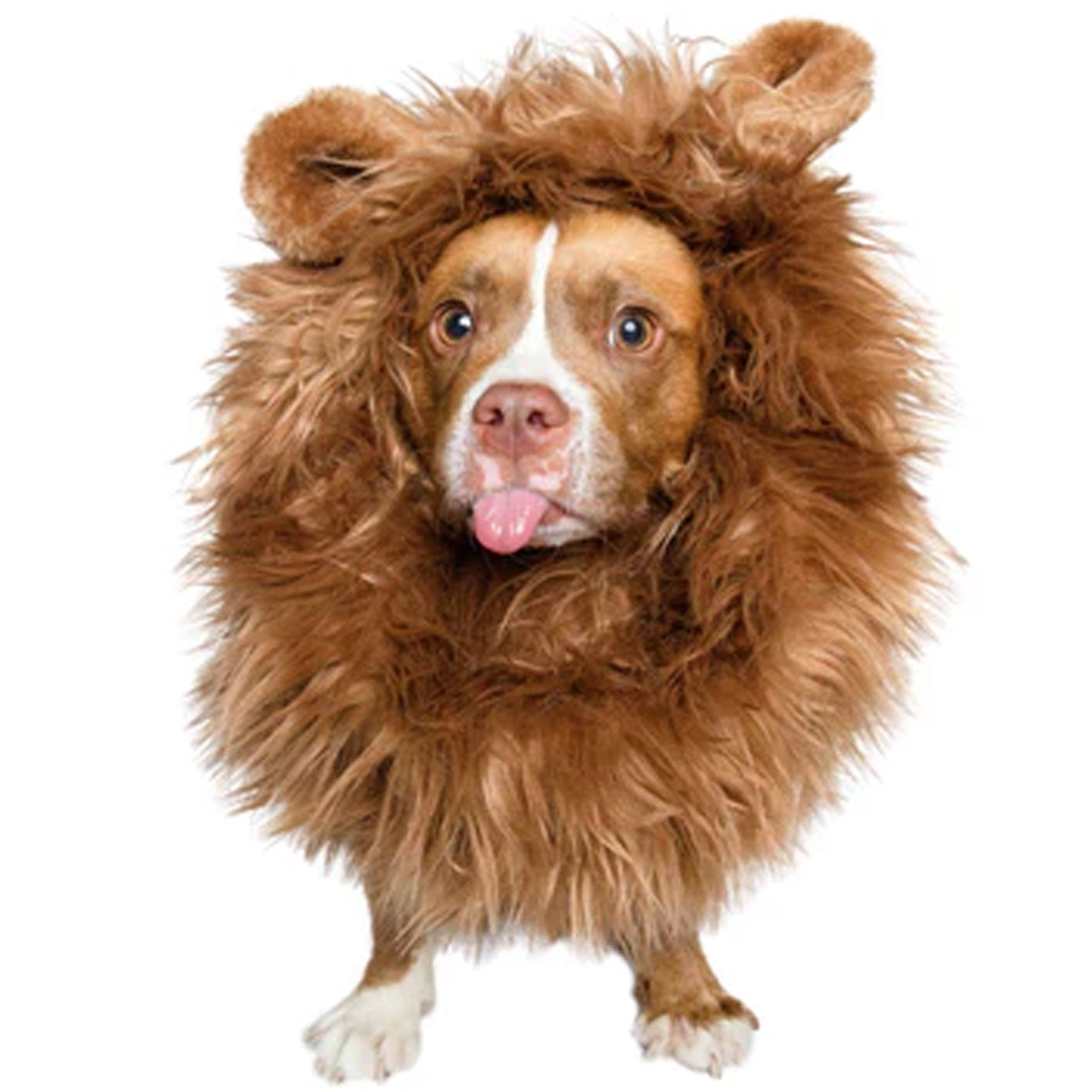 Pet Krewe Lion's Mane Costume