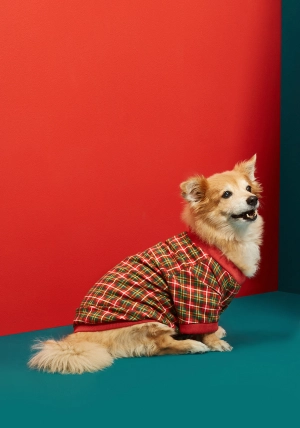 Plaid You're Mine Pet Tee