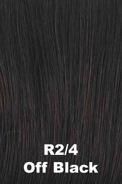 Raquel Welch Wigs - In Charge