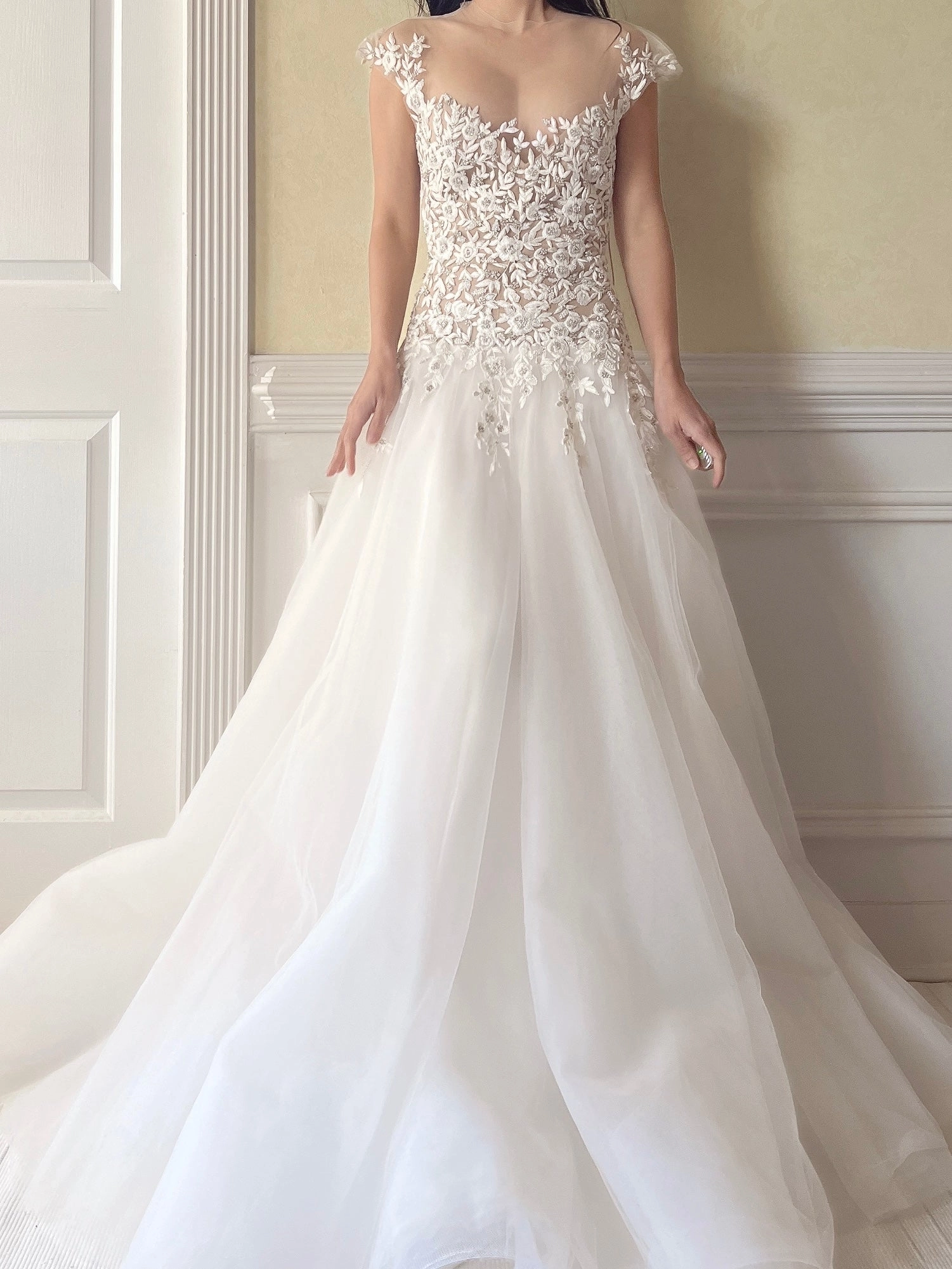 Reem Acra Illusion Tulle Gown - M/6/8