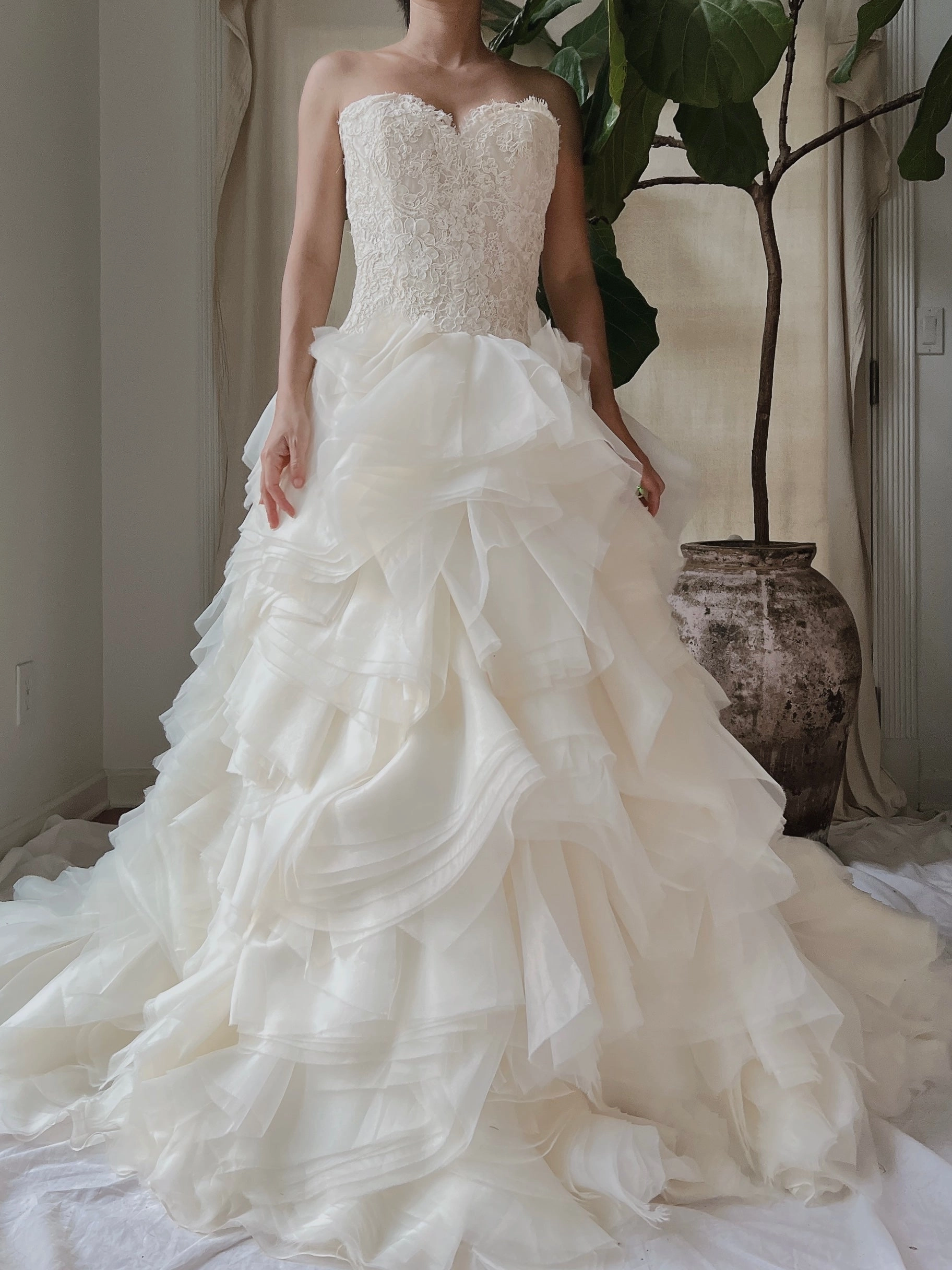 Vintage Organza Alencon Bodice Gown - S/4