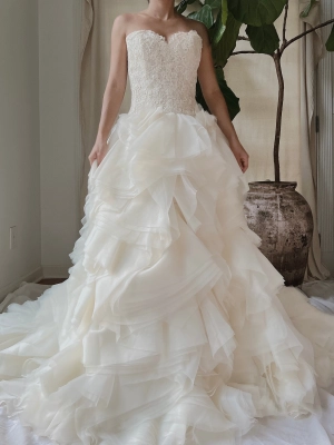 Vintage Organza Alencon Bodice Gown - S/4