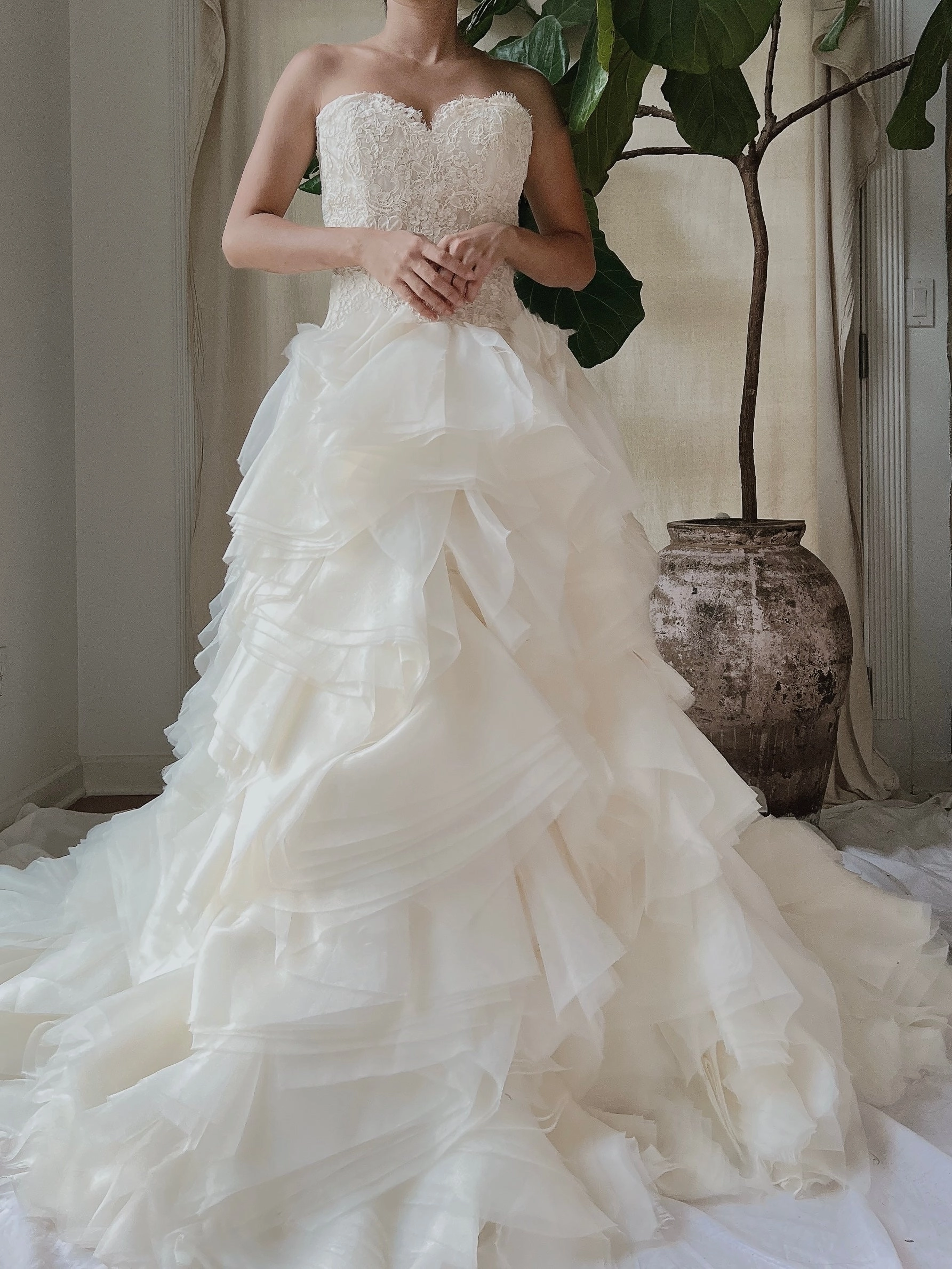 Vintage Organza Alencon Bodice Gown - S/4