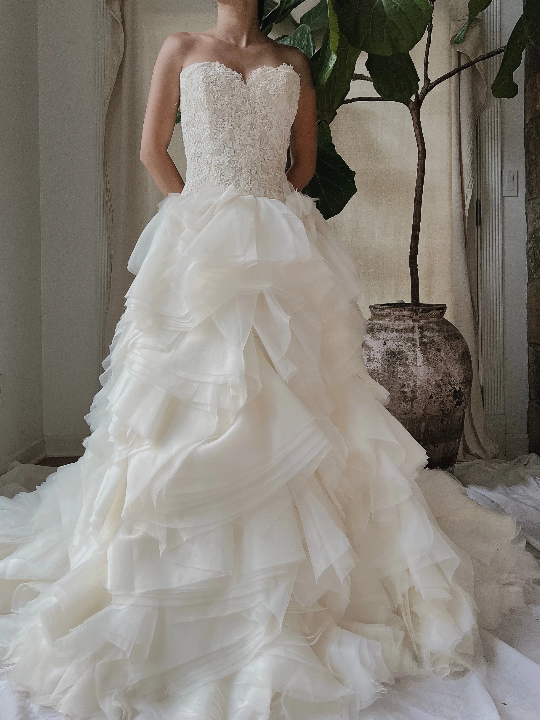 Vintage Organza Alencon Bodice Gown - S/4