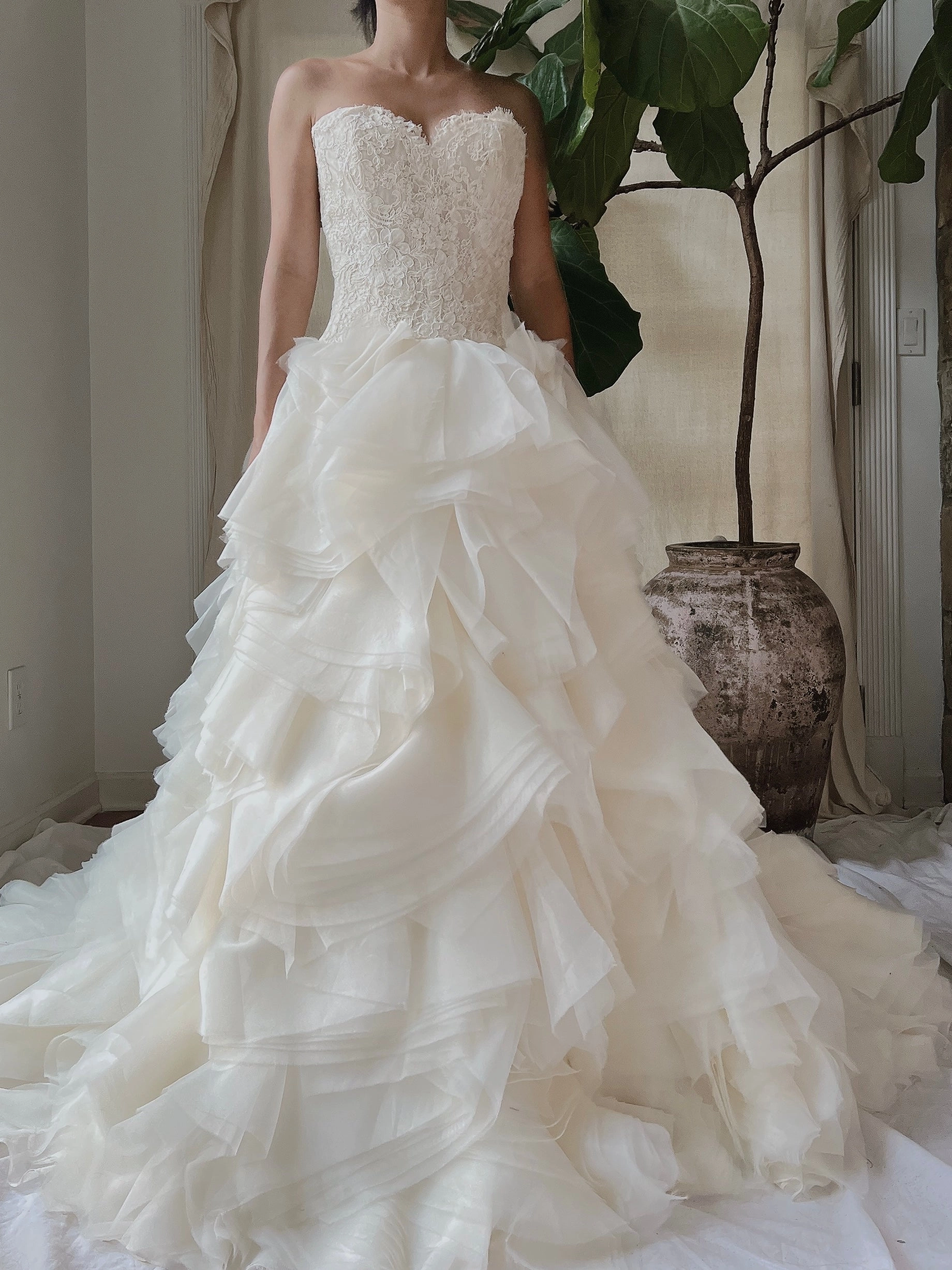 Vintage Organza Alencon Bodice Gown - S/4