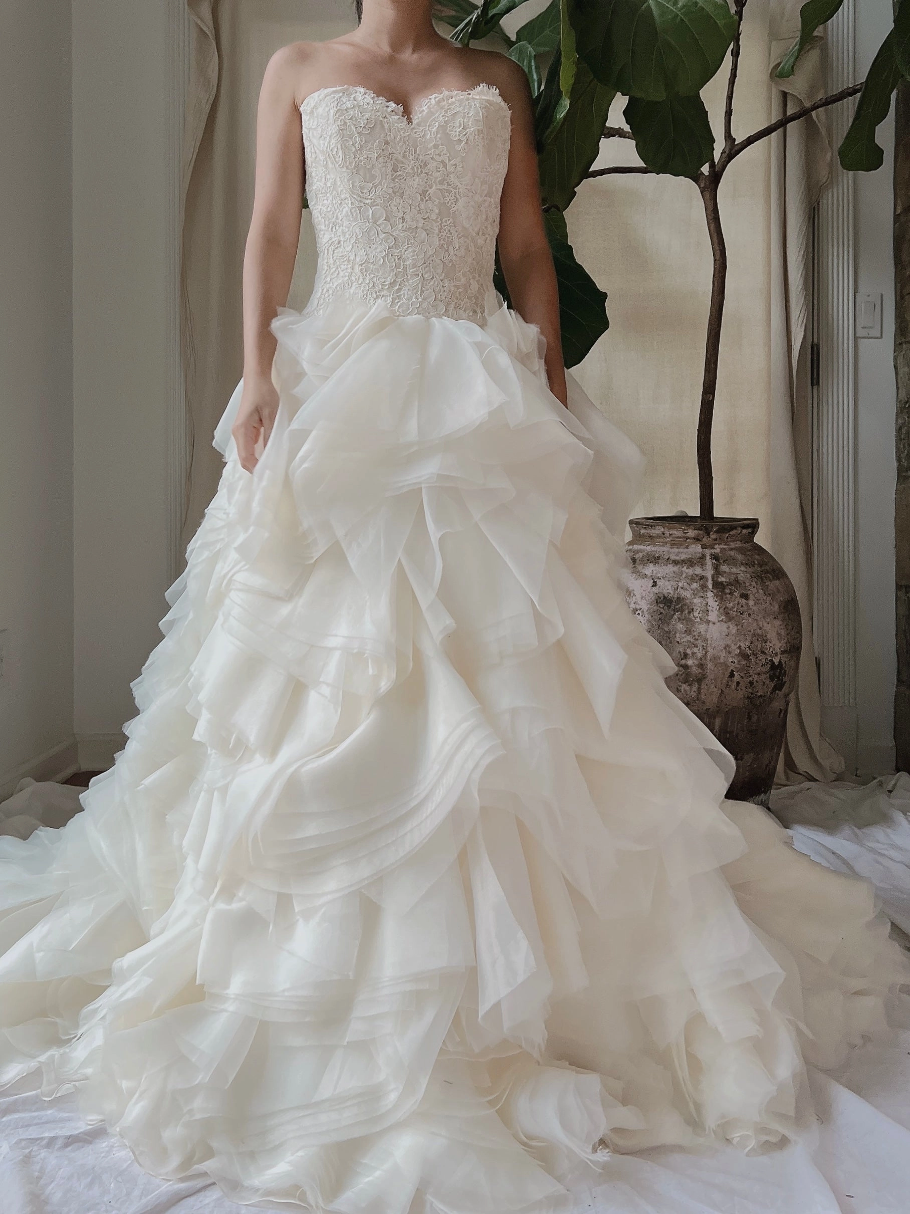 Vintage Organza Alencon Bodice Gown - S/4